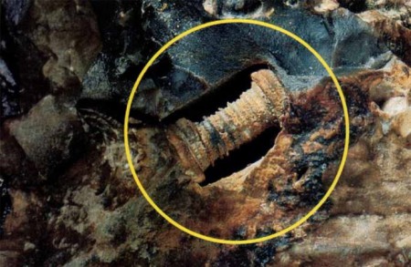 Prehistorický šrób starý 280 miliónov rokov